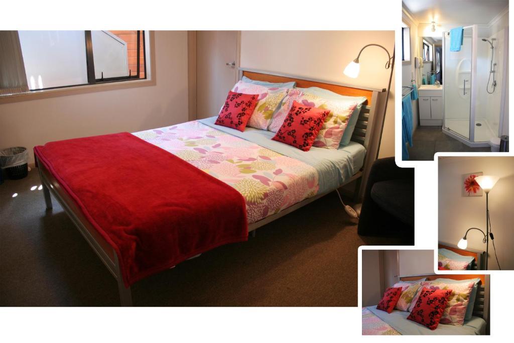 Turtlecove Accommodation Whitianga Room photo